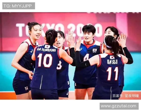 武汉排球队的崛起与挑战探讨排球运动中的团队力量与精神